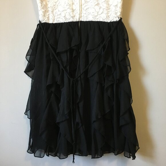 Cyndi Lauper Speechless White Lace and Black Layered Chiffon Dress - Picture 7 of 16